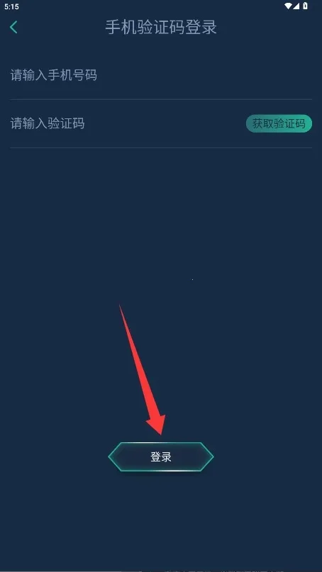 �����(�����������)