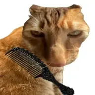 ��è��ë(è����ë����)v1.0 �ֻ���