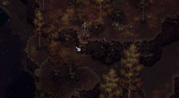 �����ǿ�