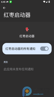 红枣启动器直装最新版本(和平精英辅助)截图3