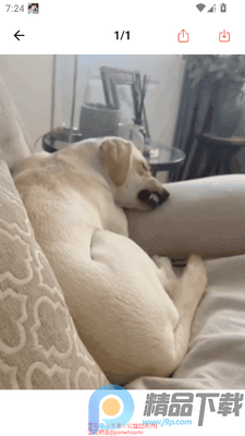 GIF�����(GIF��ͼ��������)��ͼ4