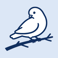 BB�ռ������Bվ(bbspace)