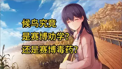 候鸟手机移植版截图1