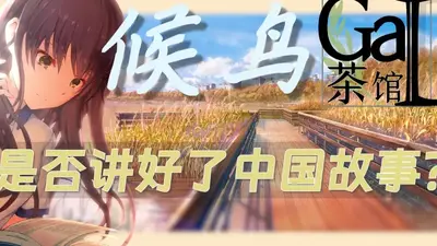 候鸟手机移植版截图4