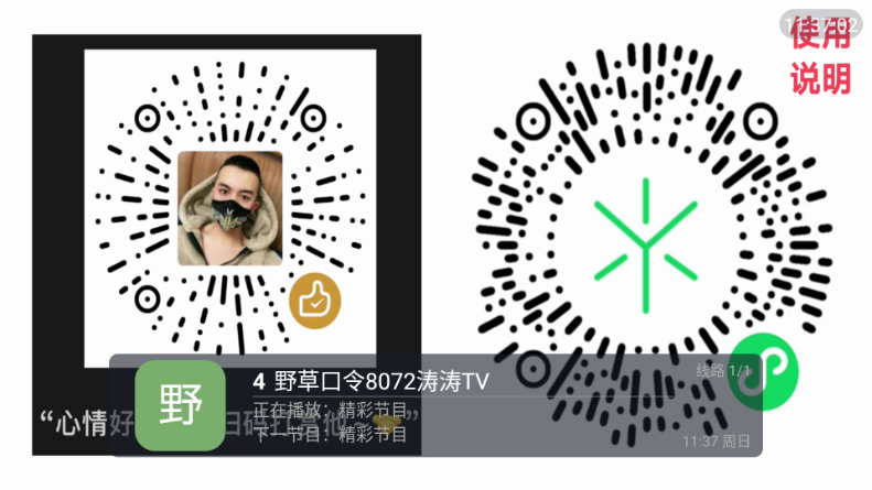 涛涛TV电视直播 涛涛TV电视直播