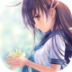 narcissuˮ���ֻ���ֲ��v1.0 ��׿��