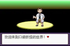 口袋妖怪漆黑的魅影DP版