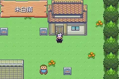 口袋妖怪漆黑的魅影DP版