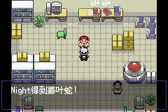 口袋妖怪漆黑的魅影DP版