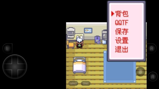 �ڴ�������ʧҹ6