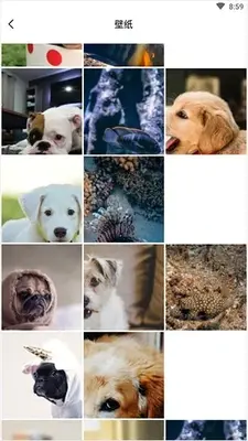 ���������app���°��ͼ4