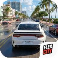 Flex City����3d����������v1.8.20 ���ð�