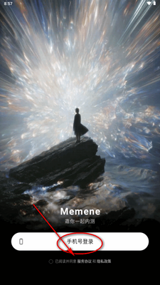 Memene������ͼ1