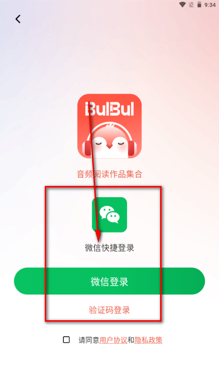 BULBUL FM������