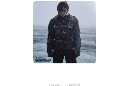 音乐下载器荔枝版 音乐下载器荔枝版