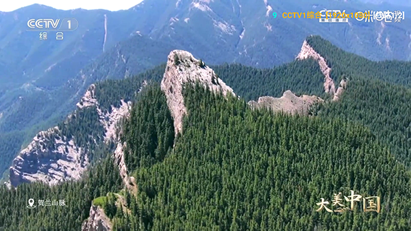 ��ͷǿӰ��TV���������°�-��ͷǿӰ��������ص��Ӻ��Ӱ�v6.1.7