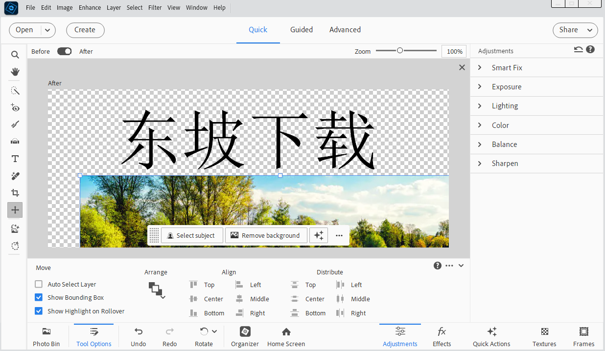 Photoshop Elements2026��Ѱ��ͼ