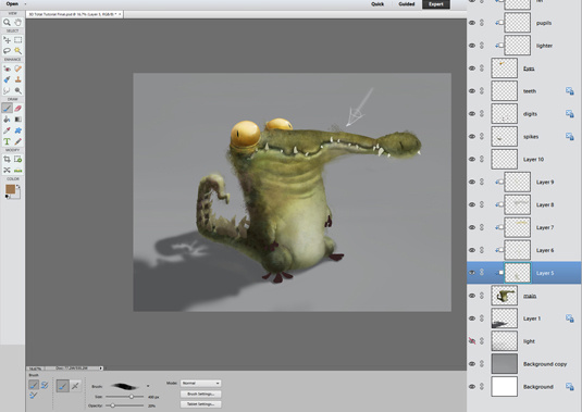 Photoshop Elements2026��Ѱ�