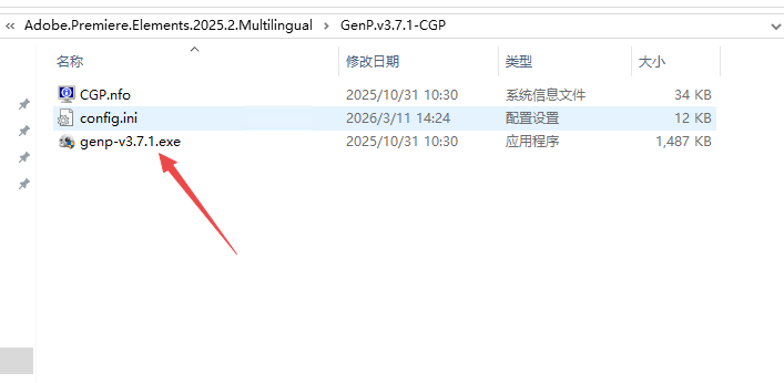 Adobe Premiere Elements 2025���ļ����