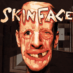 skinfaceƤ����Ϸ
