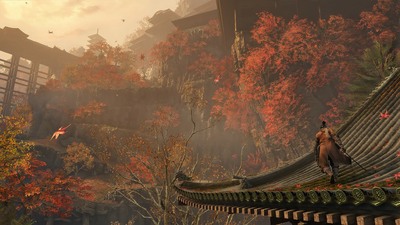 只狼影逝二度全DLC豪华版截图3