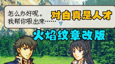 火焰纹章冰封烈焰全职业转职移植版截图4