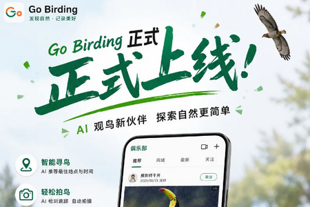 Go Birding观鸟工具 Go Birding观鸟工具