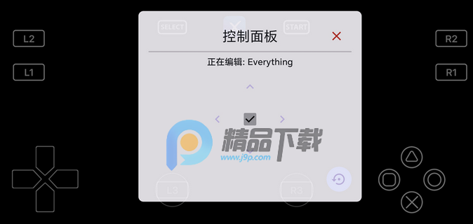 RPCSX ETKģ����