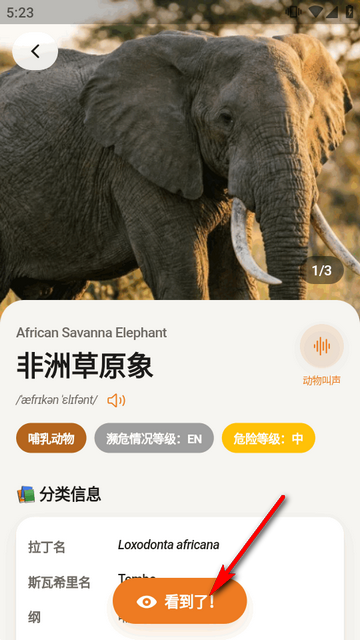 ���޲�ԭ�ٿ�ȫ��app(SafariLingo)