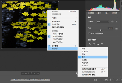 Adobe Camera Raw18���԰��ͼ0