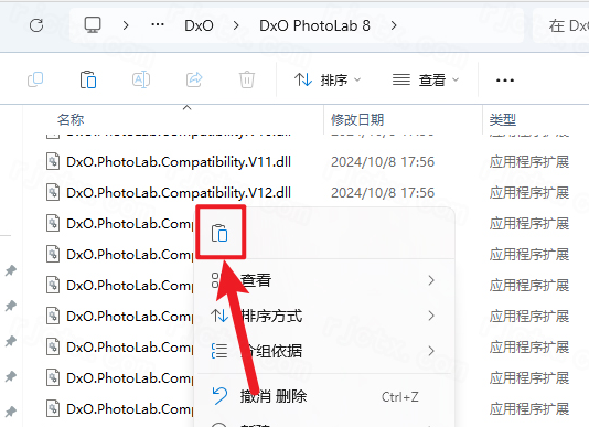 DxO PhotoLab8.1���ļ����