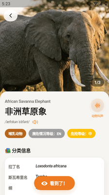 ���޲�ԭ�ٿ�ȫ��app(SafariLingo)��ͼ2