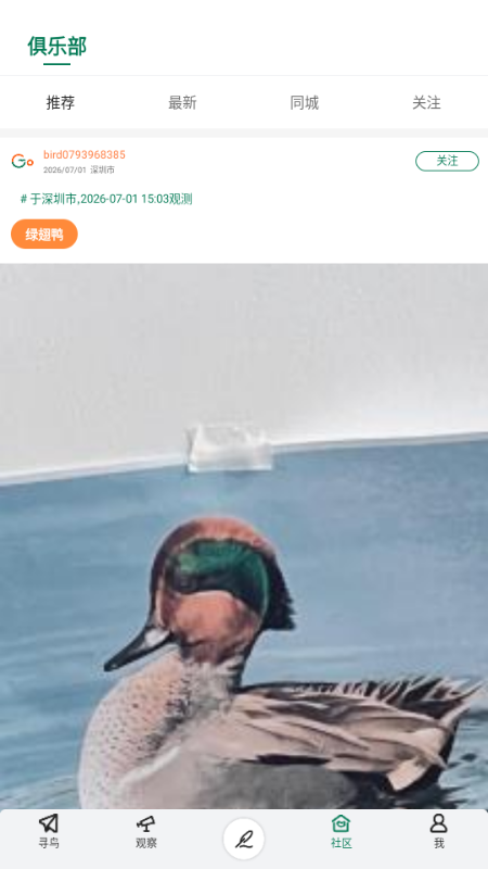 Go Birding观鸟工具截图