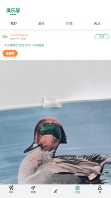 Go Birding观鸟工具截图2
