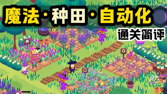 ��ѻ���ռ�switch��ֲ���ͼ