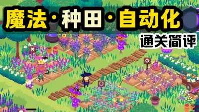 ��ѻ���ռ�switch��ֲ���ͼ3