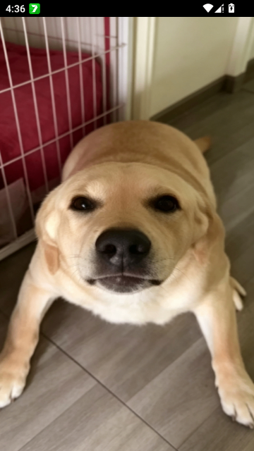 �󹷴󹷽нн����°��ͼ