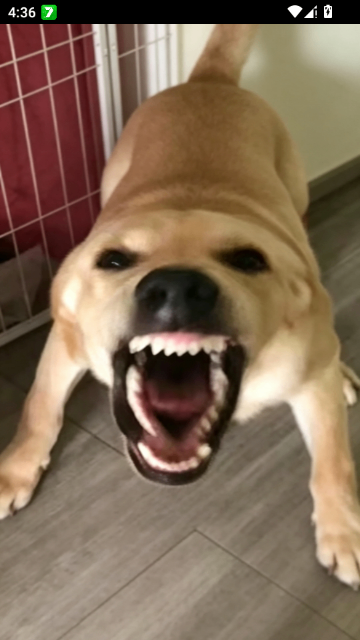 �󹷴󹷽нн����°��ͼ