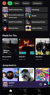 Spotui��׿��(Spotify��Դ�ͻ���)��ͼ1