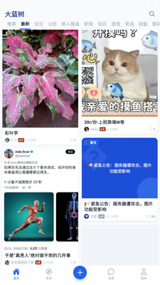 ������app��׿���ֻ����ͼ4