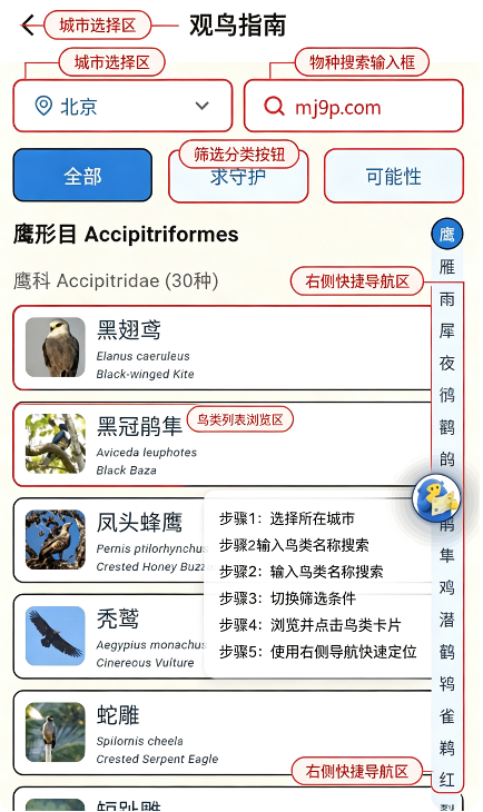 �۲�ԳAI��������