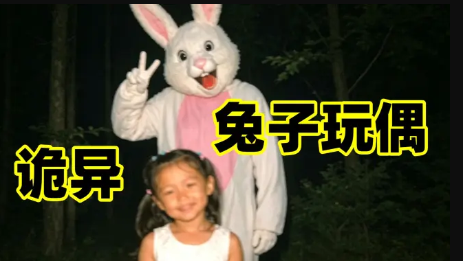 ħ����������