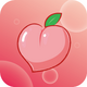 PechTak AI���v1.1.8 �ٷ���