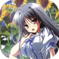 �Ŀյ�Ӣ������Ѱ�v1.1 ��׿��