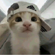 QianXiao������v2.0 ��׿�ֻ���