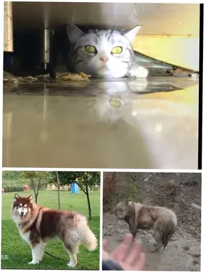 ������̽��Ϸ��ͼ2