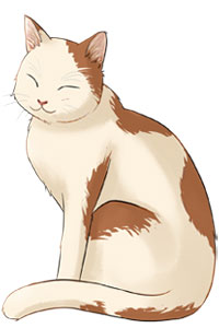 ��½