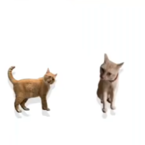 ���׶�С��Ϸ���°�v1.0.0 ��׿��