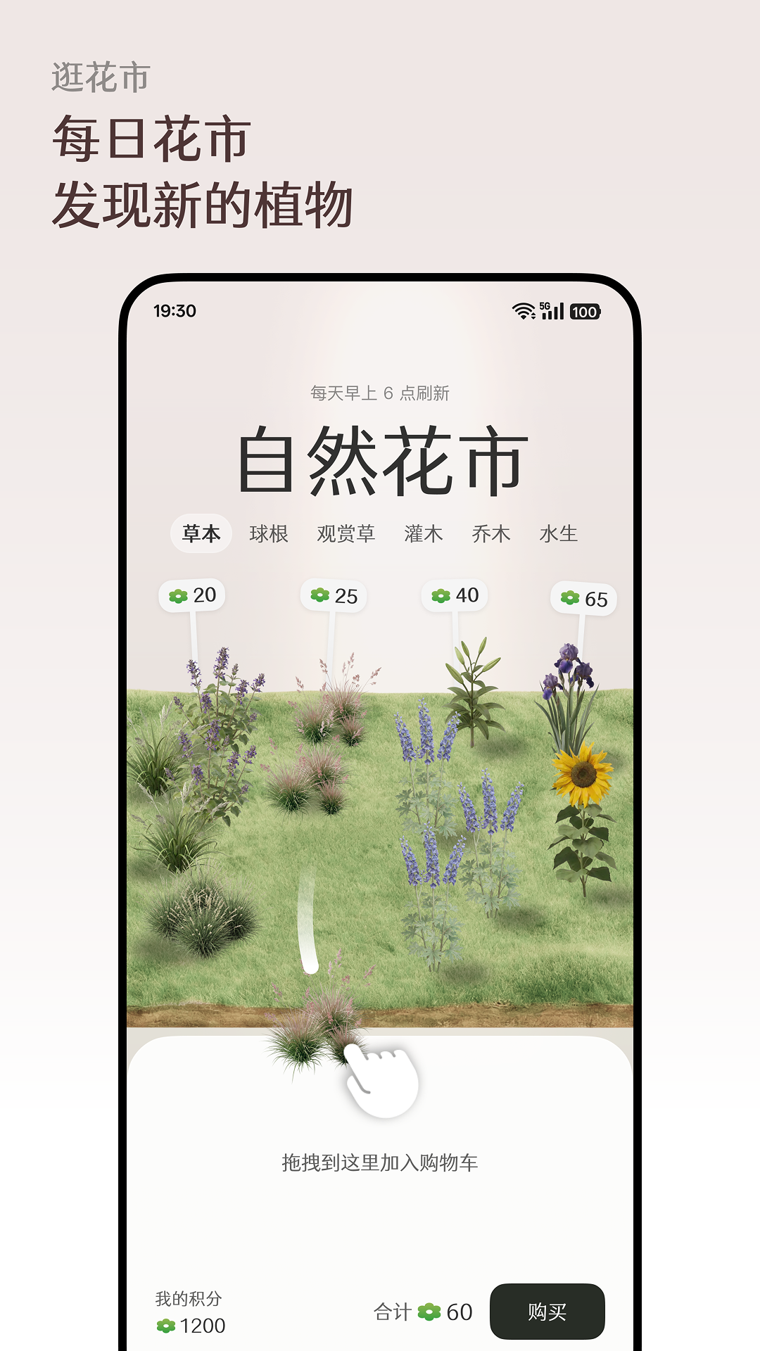 ����Floravale�ٷ����ͼ