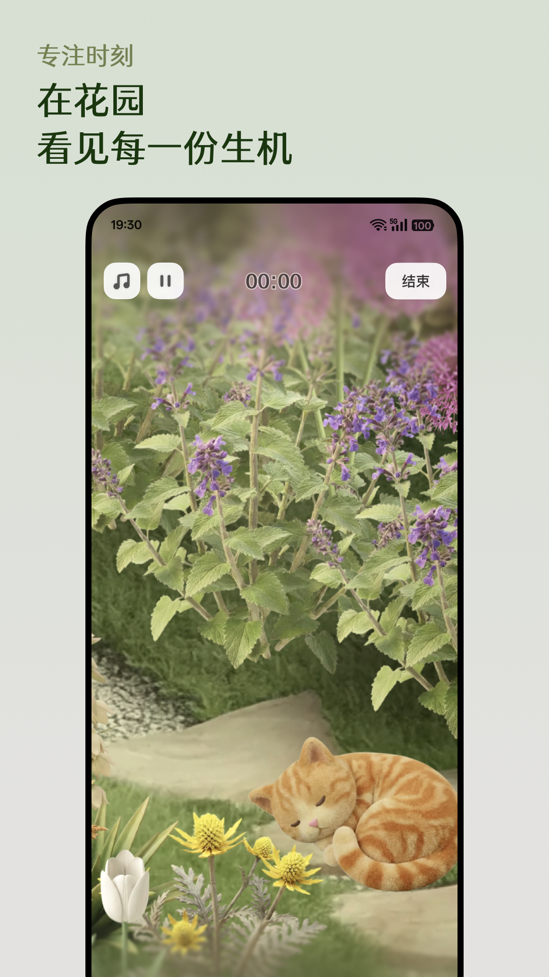 ����Floravale�ٷ����ͼ